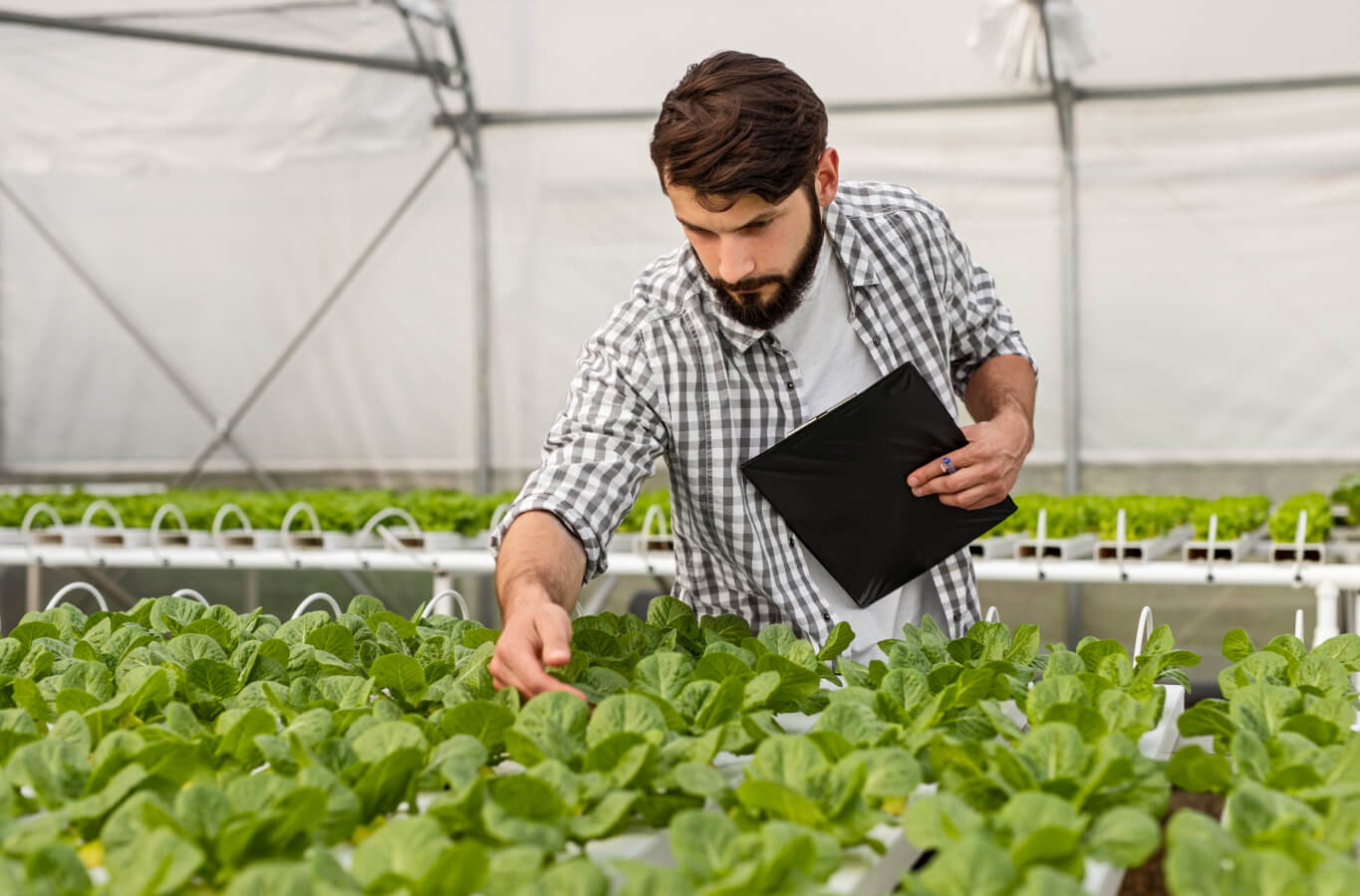 Can An Indoor Smart Garden Beat Outdoor Gardening?